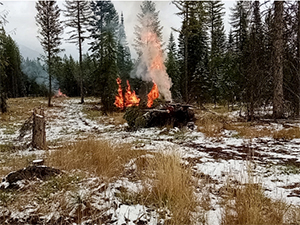 fuels reduction logging slash burn Vallerga Fire